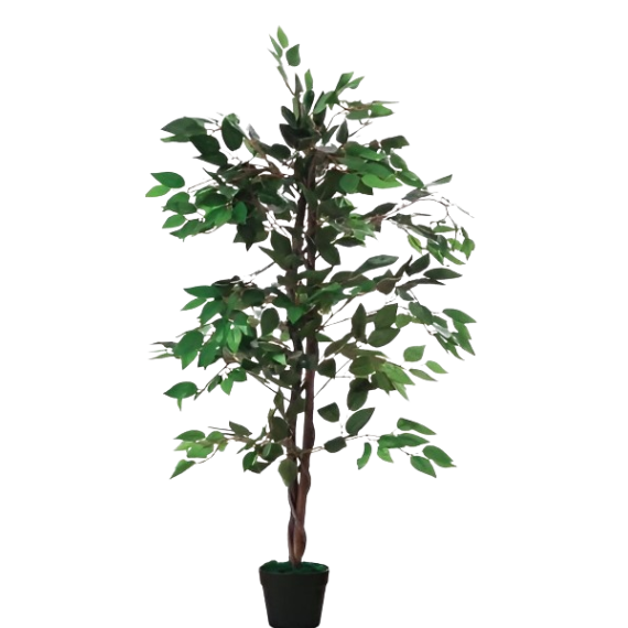 Ficus artificiel