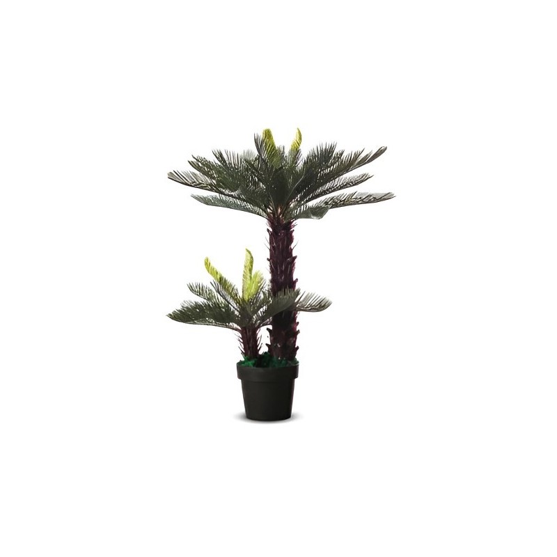 Cycas artificiel