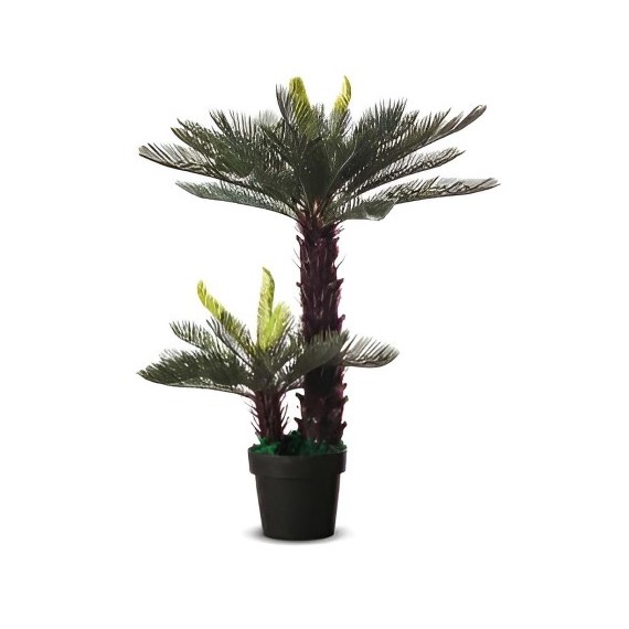 Cycas artificiel