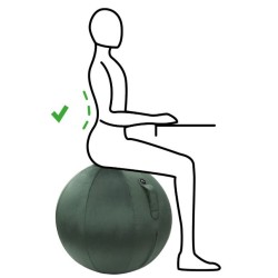 Ballon d'assise ergonomique velours