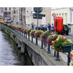 Balconnière galbée