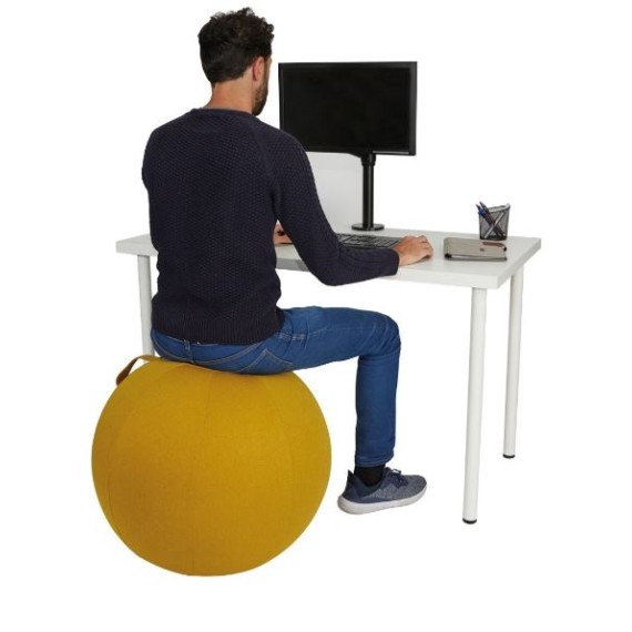 Ballon d'assise ergonomique