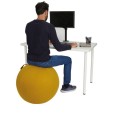 Ballon d'assise ergonomique