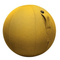 Ballon d'assise ergonomique