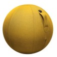 Ballon d'assise ergonomique